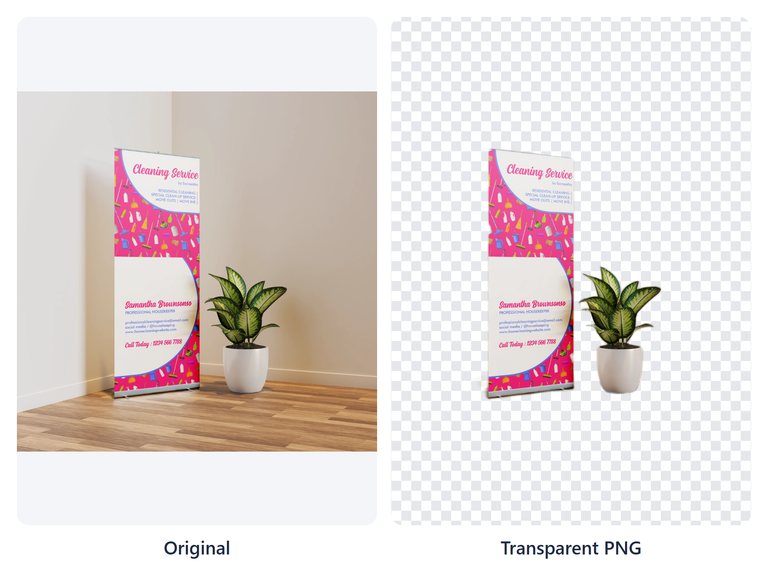 Example result of the Remove Background tool